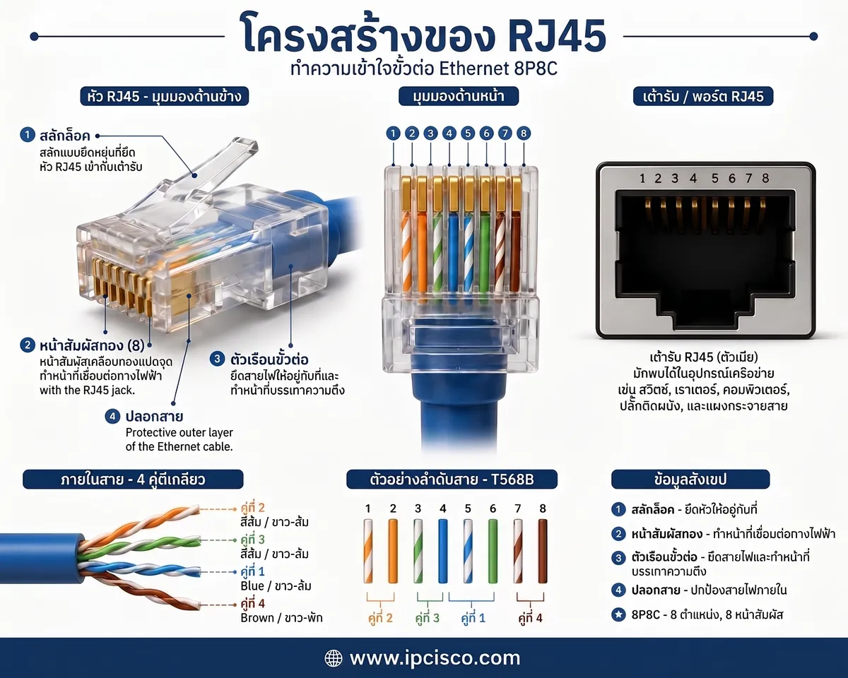 RJ 45